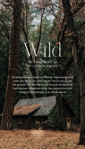 260058 Magazine - Wild 1